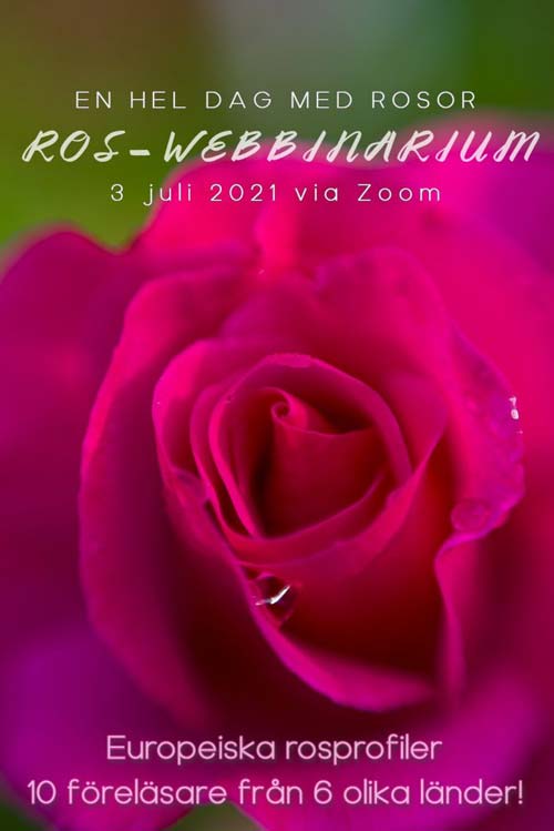 Roswebinarium